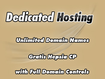Cut-rate dedicated servers hosting service
